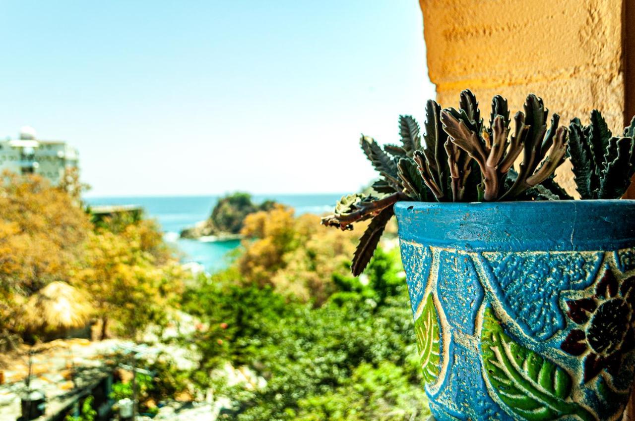 Hotel Capy Puerto Ángel 외부 사진